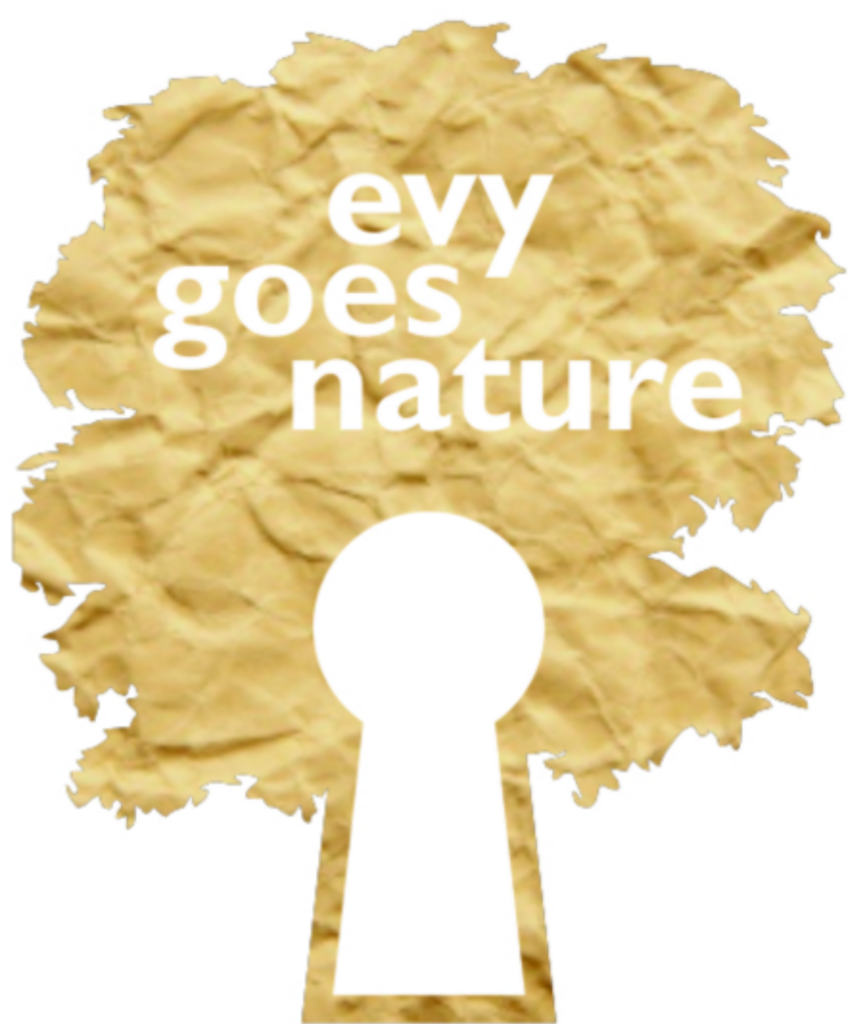 Logo voor de website van Evy Goes Nature